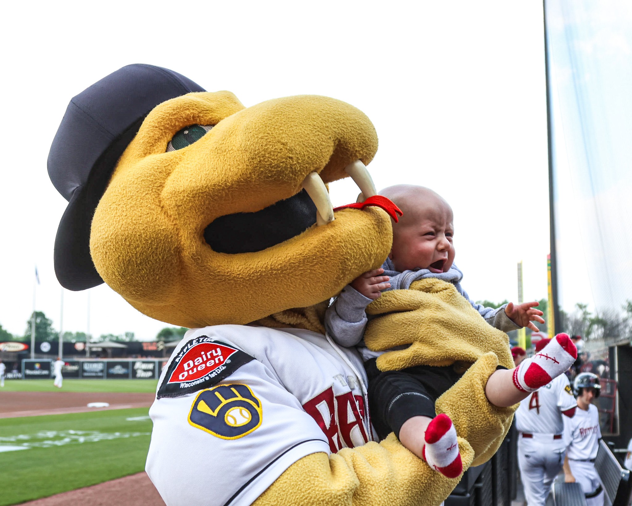 Wisconsin Timber Rattlers | Appleton WI