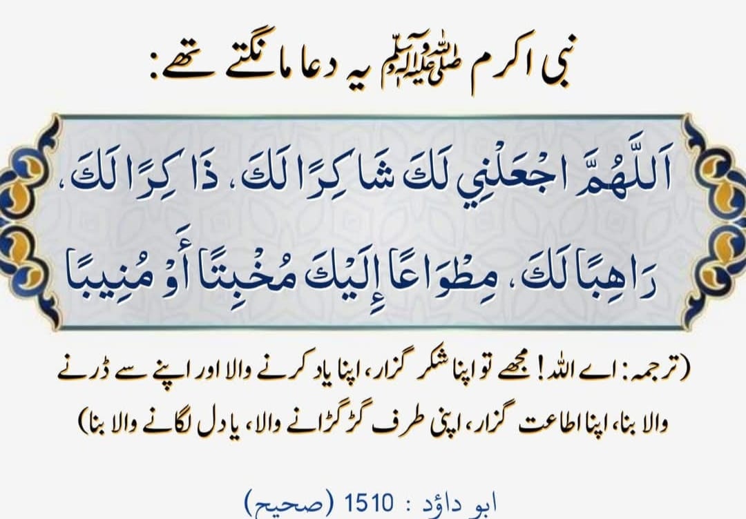 Ch Kashif Mehmood
