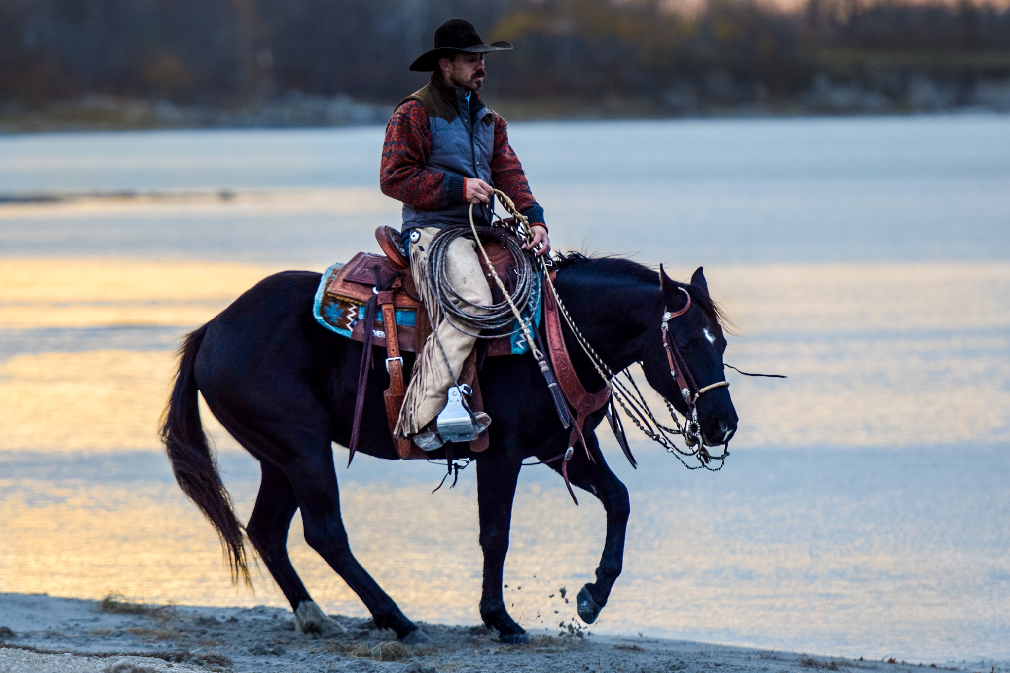 2J ranch horses