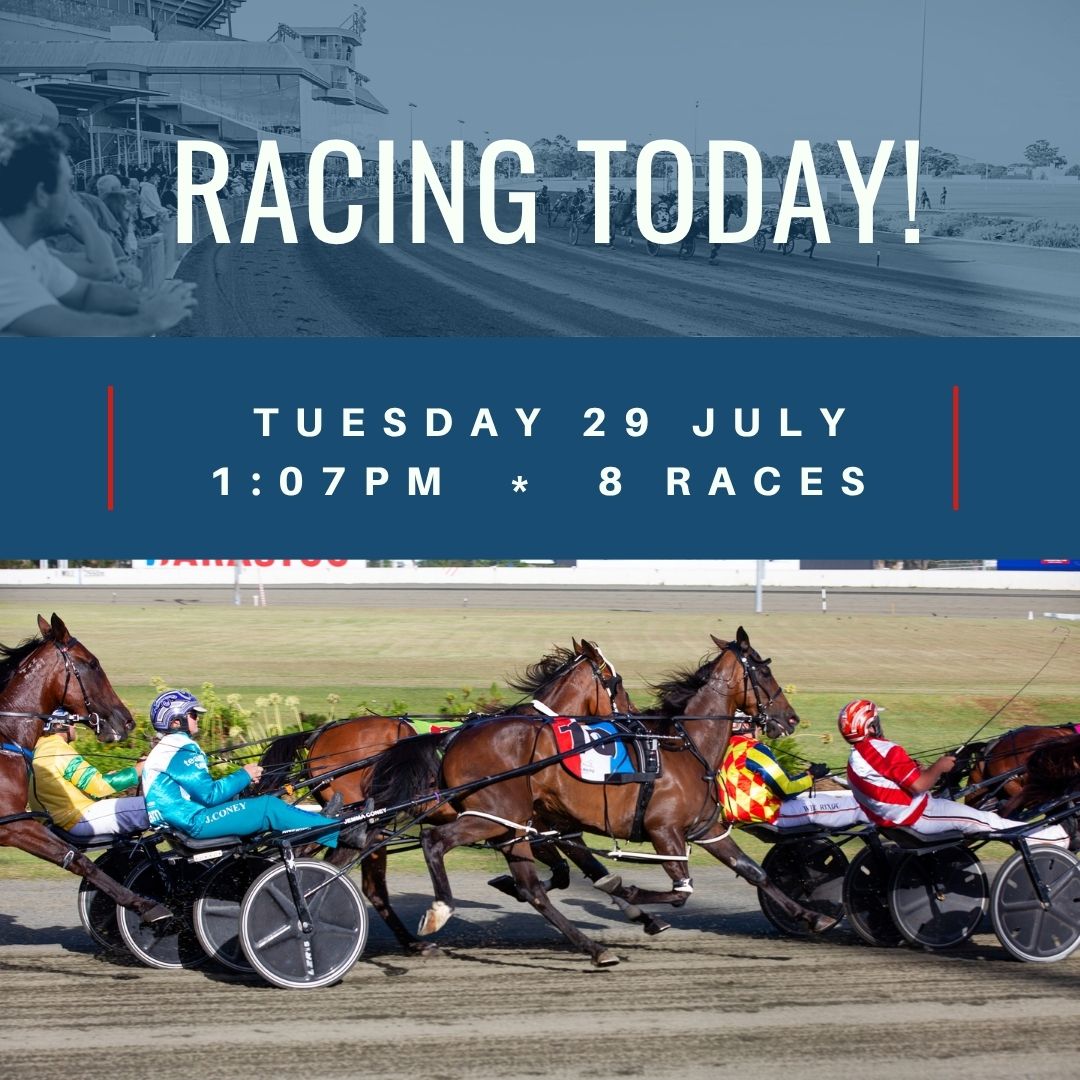 Newcastle Harness Racing Club - A big win to father and son combo Paul ...
