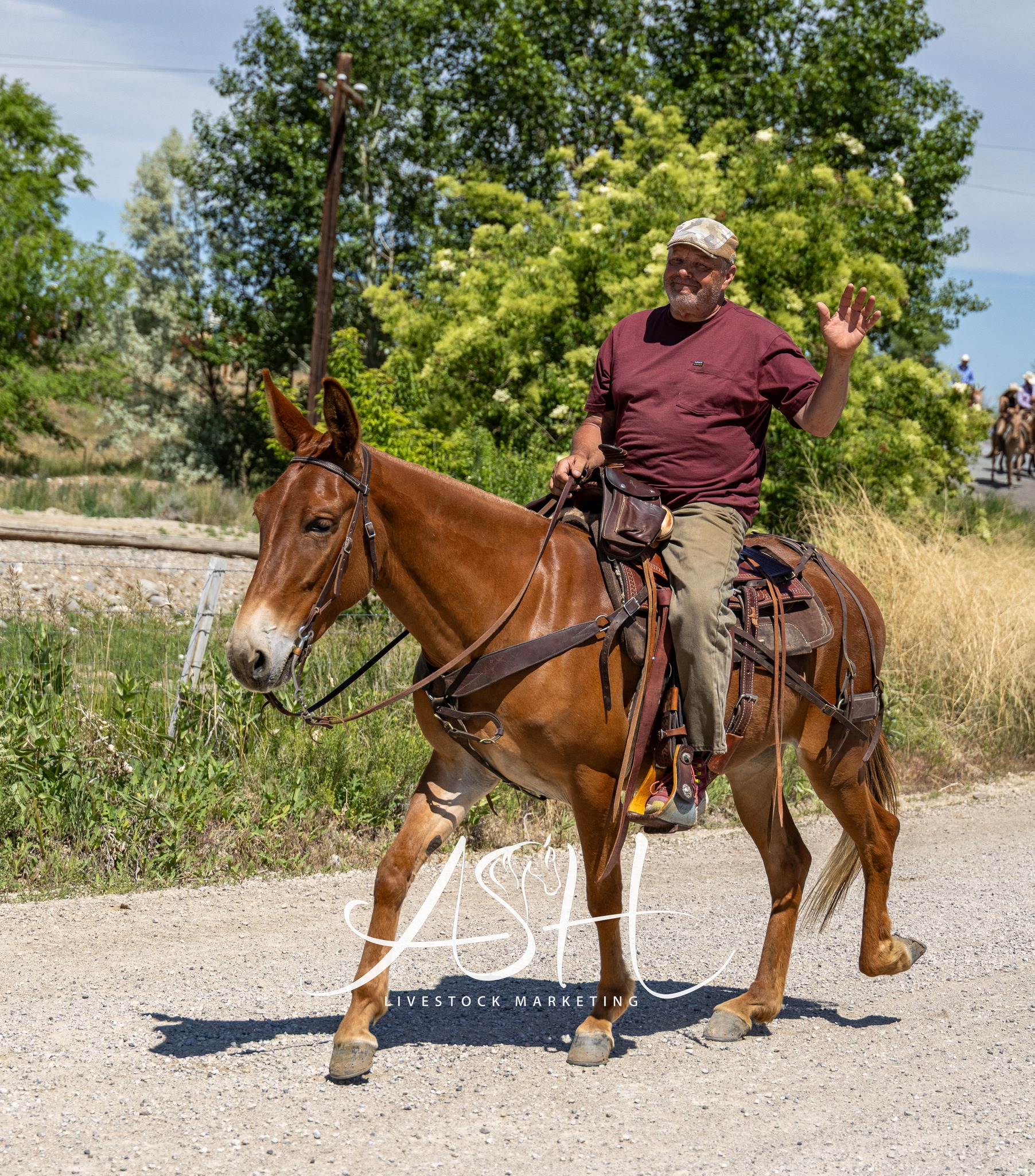 Jake Clark’s Mule Days added a... - Jake Clark’s Mule Days