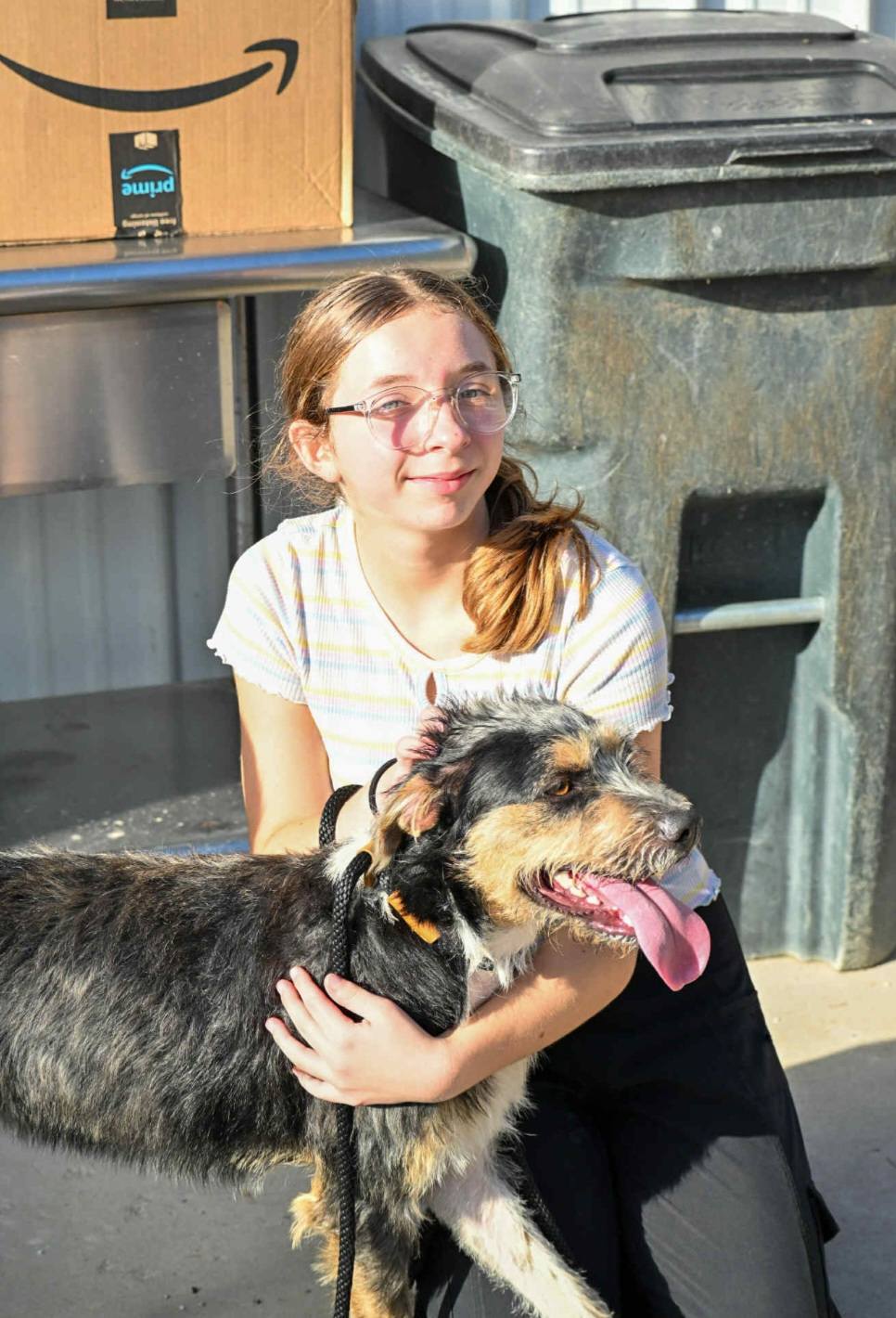 Ark Animal Rescue and... - Ark Animal Rescue and Adoption