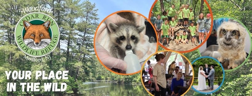 Woodford Cedar Run Wildlife Refuge | Medford NJ