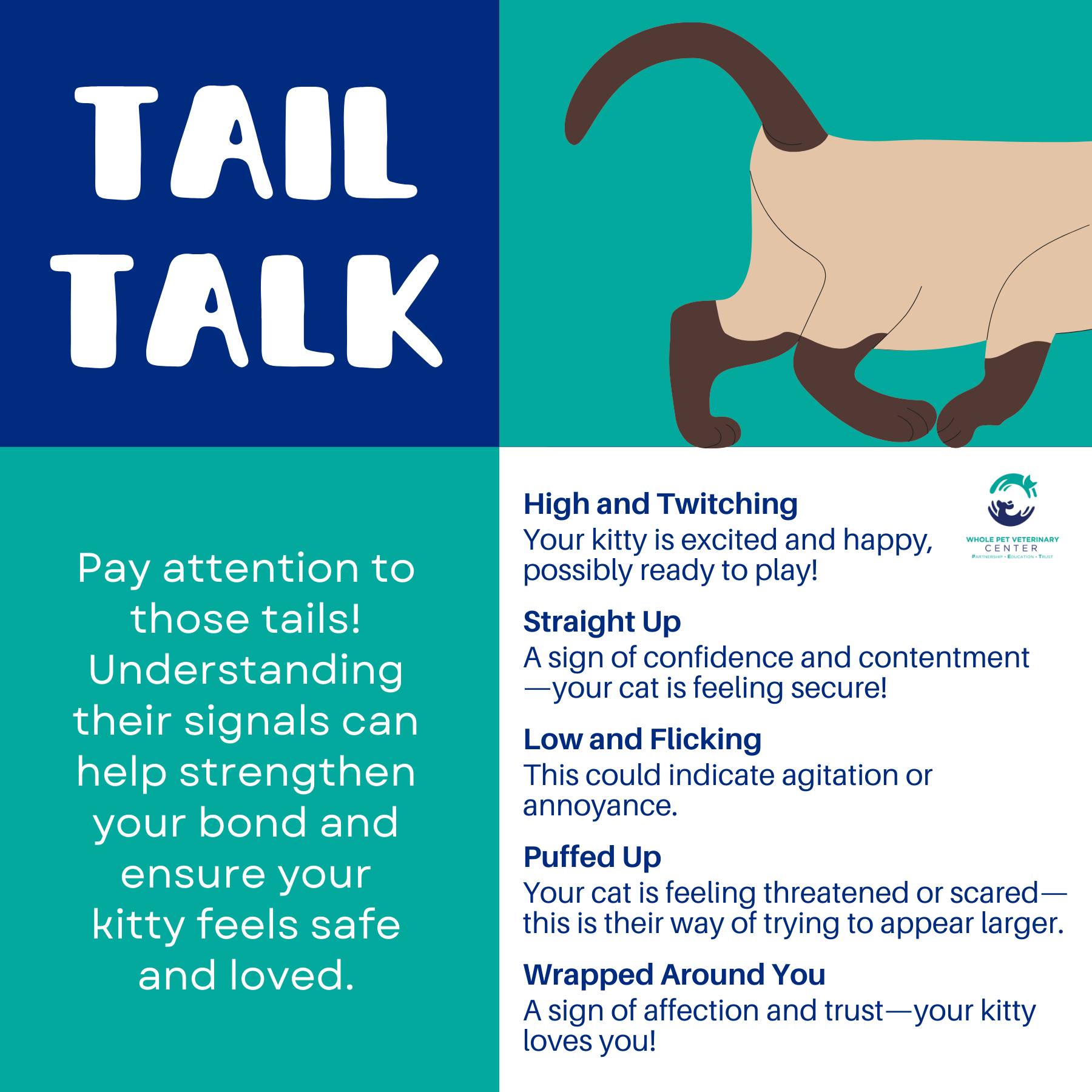 Whole - Did you know your cat's tail is a window into their emotions? 🐾 ...