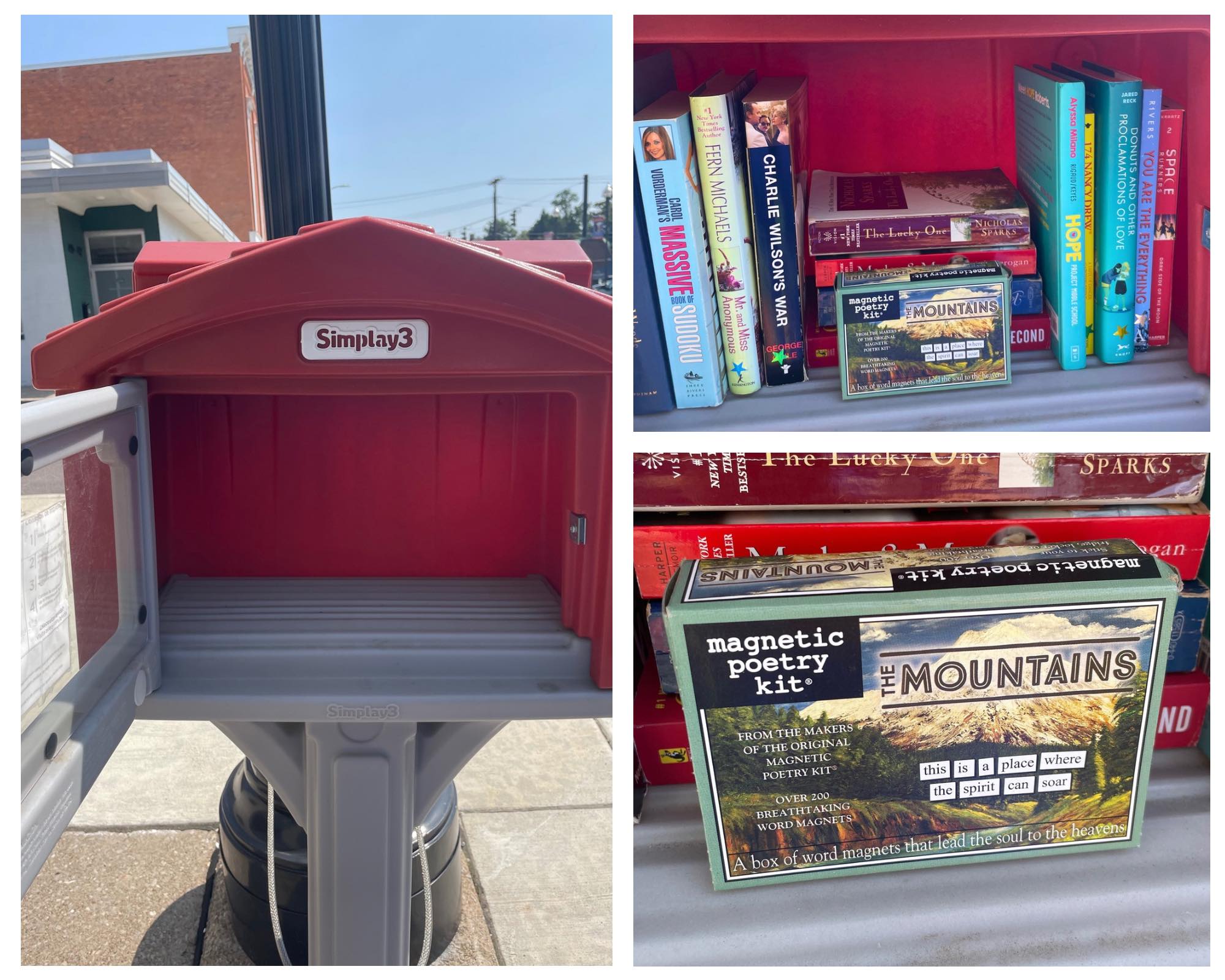 We donated copies of all of our books to the Ellicottville library