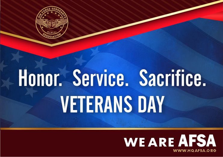 On this Veterans Day, we... - Air Force Sergeants Association | Facebook