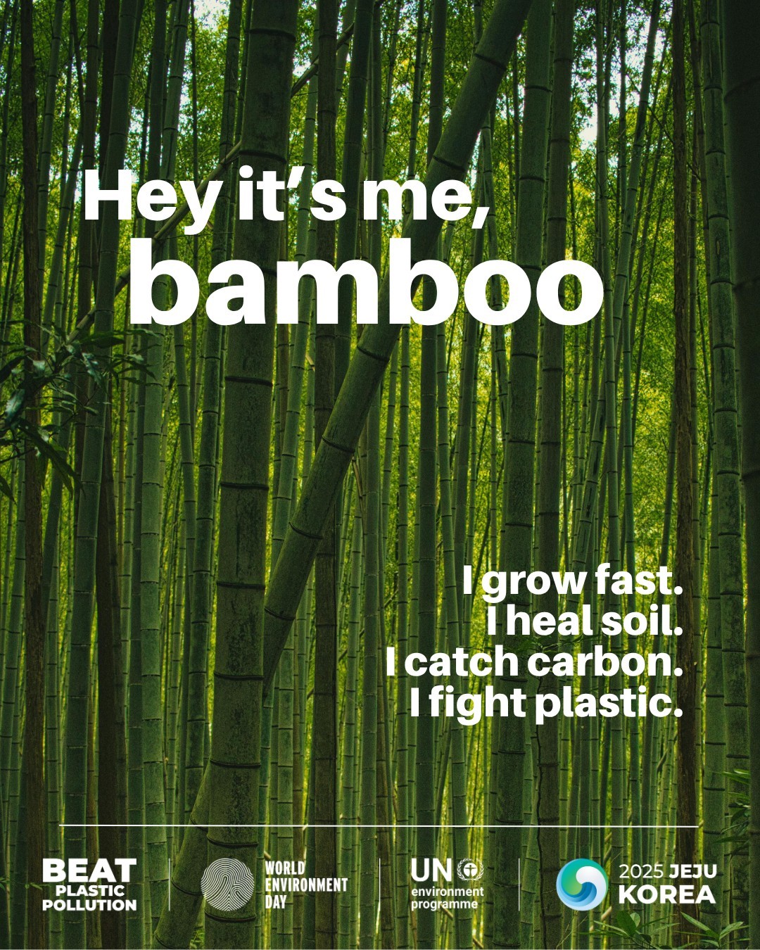 Inte... - International Bamboo and Rattan Organization - INBAR