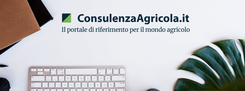 CEI - Comitato... - CEI - Comitato Elettrotecnico Italiano