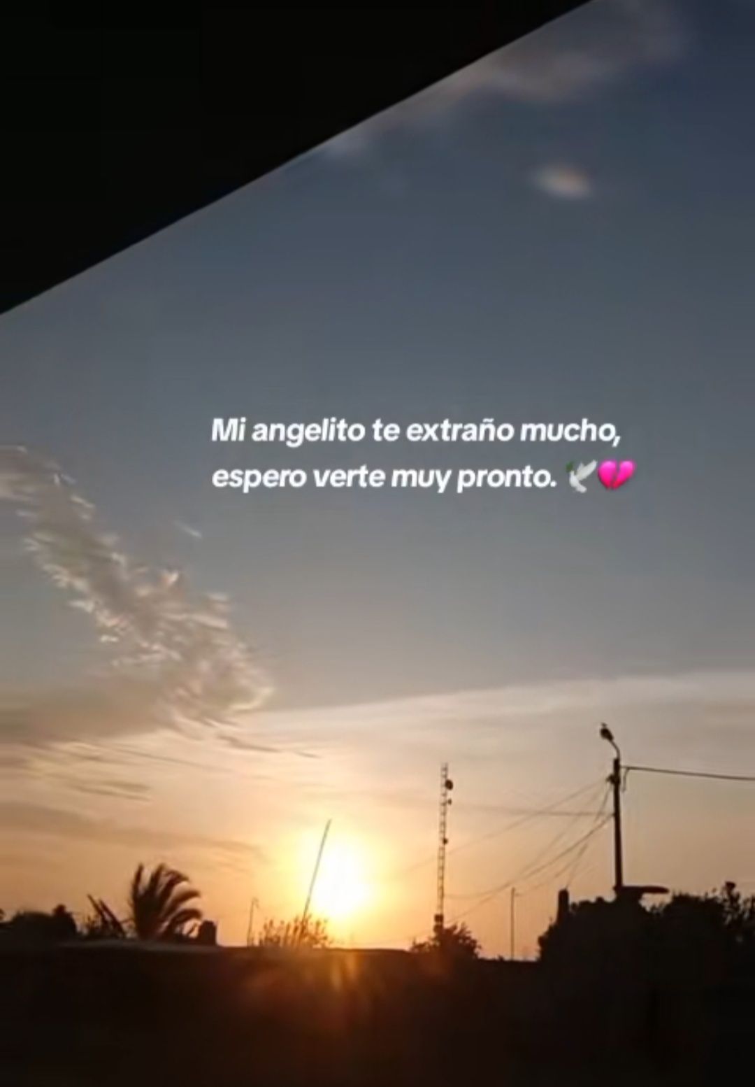 Alexandra Barrón