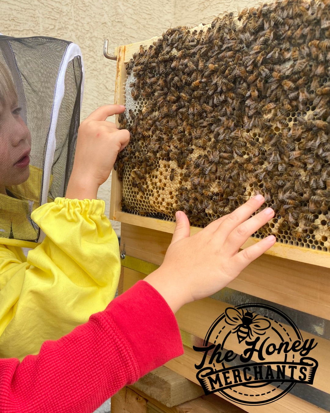 The Honey - 🐝🍯 Bee Fact Time! 🍯🐝 Did you know that a honeycomb is ...
