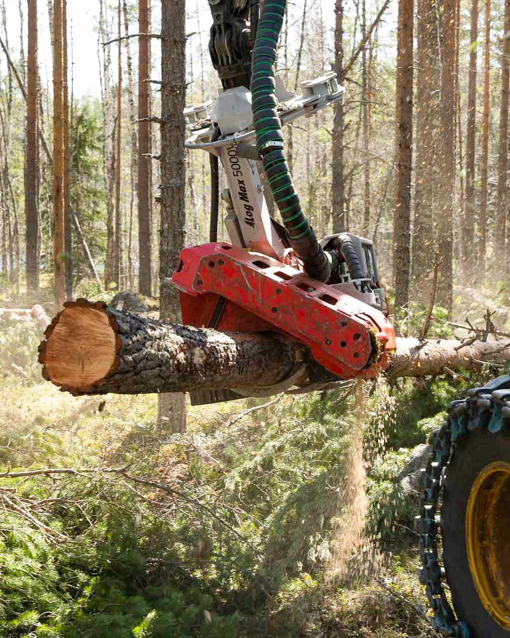 Log Max - Log Max added a new photo.