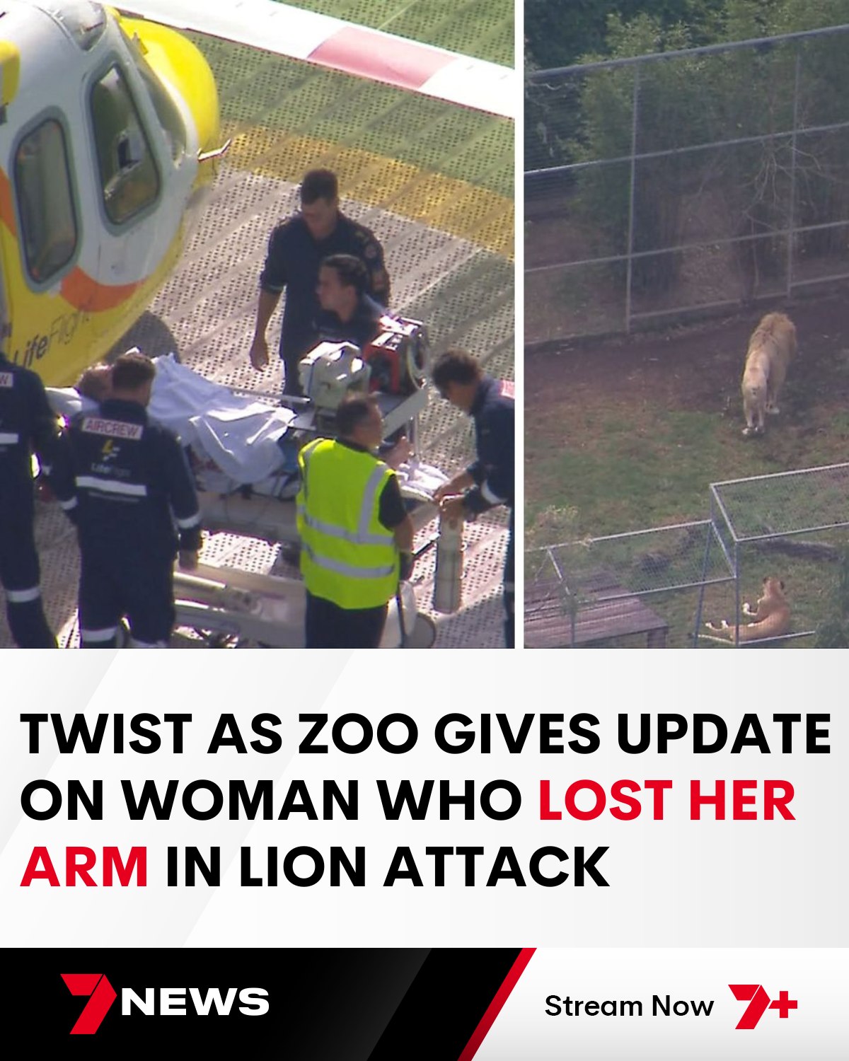 7NEWS - The ‘much-loved’ member of the owner’s family remains in ...