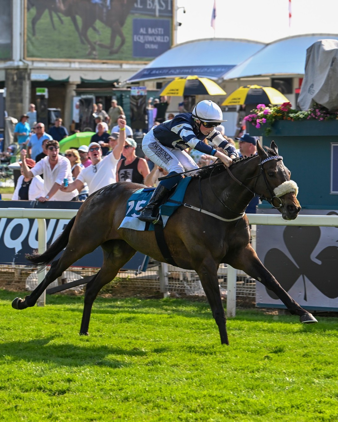 York Races - York Races added a new photo.