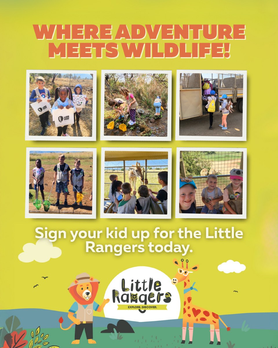 Lion - 🌿 Ready for an adventure your kids will never forget? The Little ...
