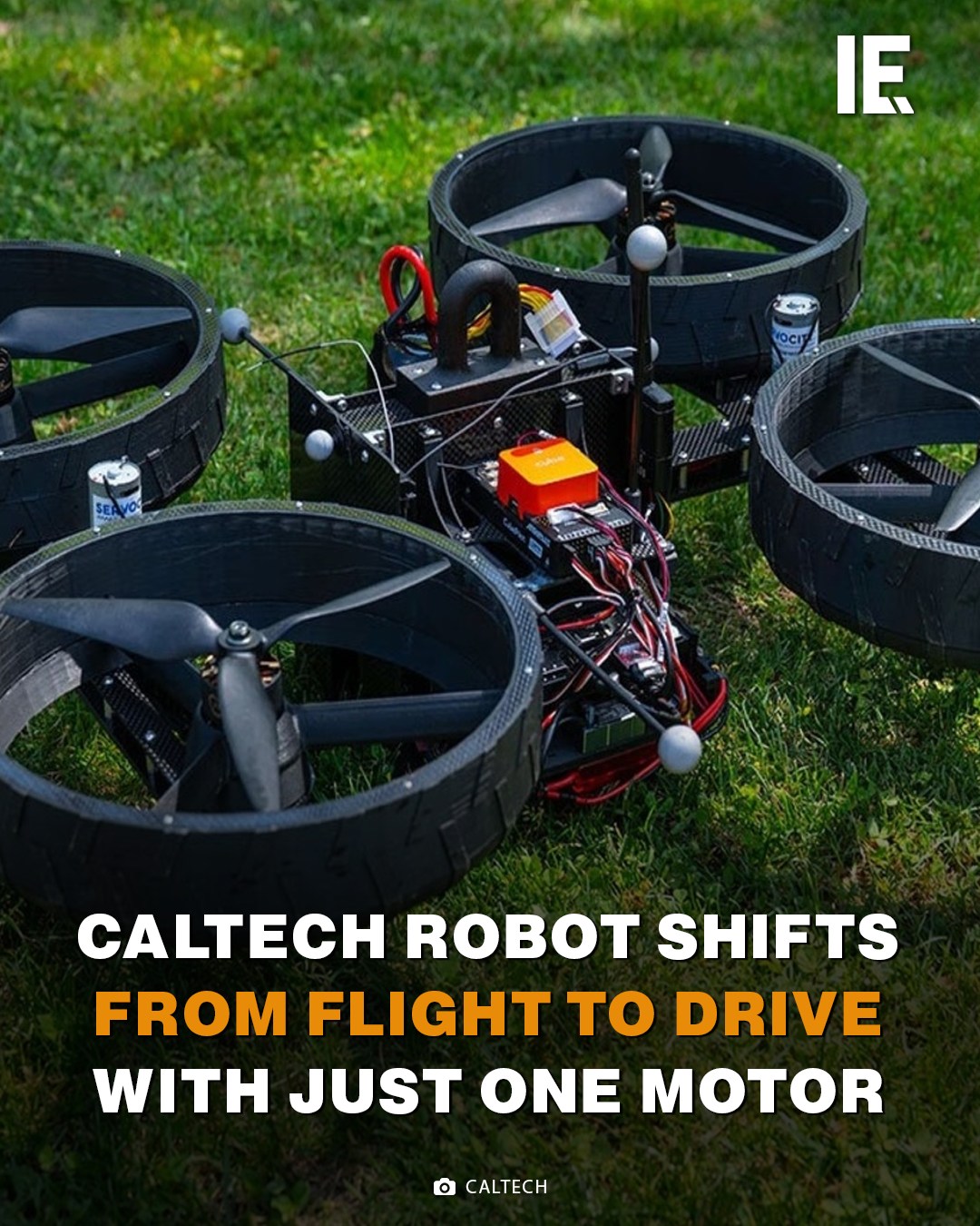 Interesting - Caltech engineers create shape-shifting robot that flies ...