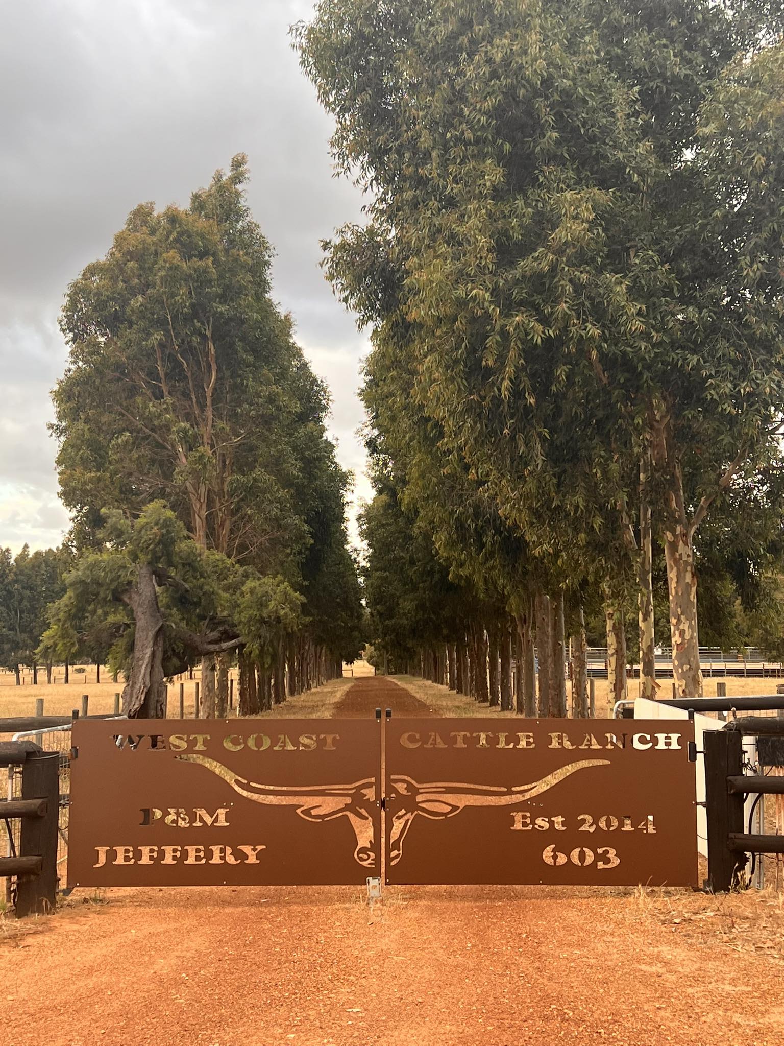 West Coast Cattle Ranch | Meelon WA