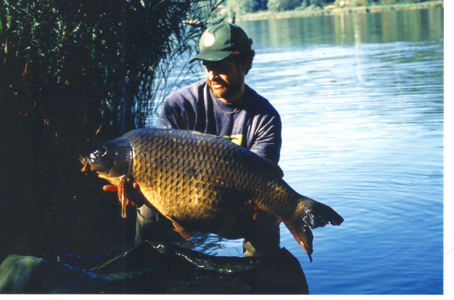 Balzer Zielfisch Pose Karpfen 2g 3g 4g 5g 6g 7g Karpfenpose