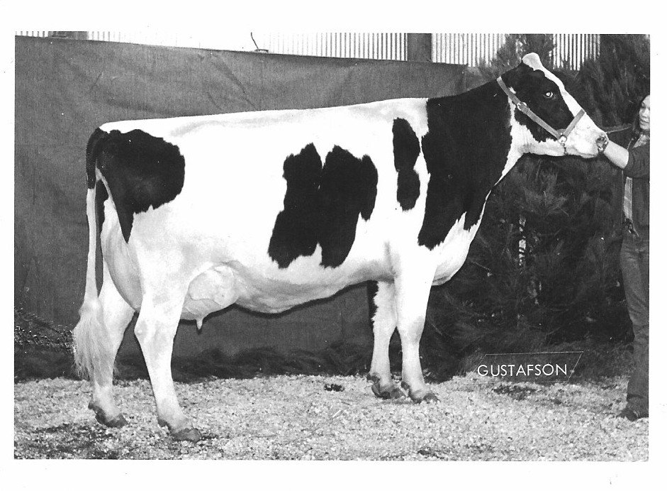 Legendairy - Brockel Marquis Lucy EX-92 b. 10/10/1970 was sired by a ...