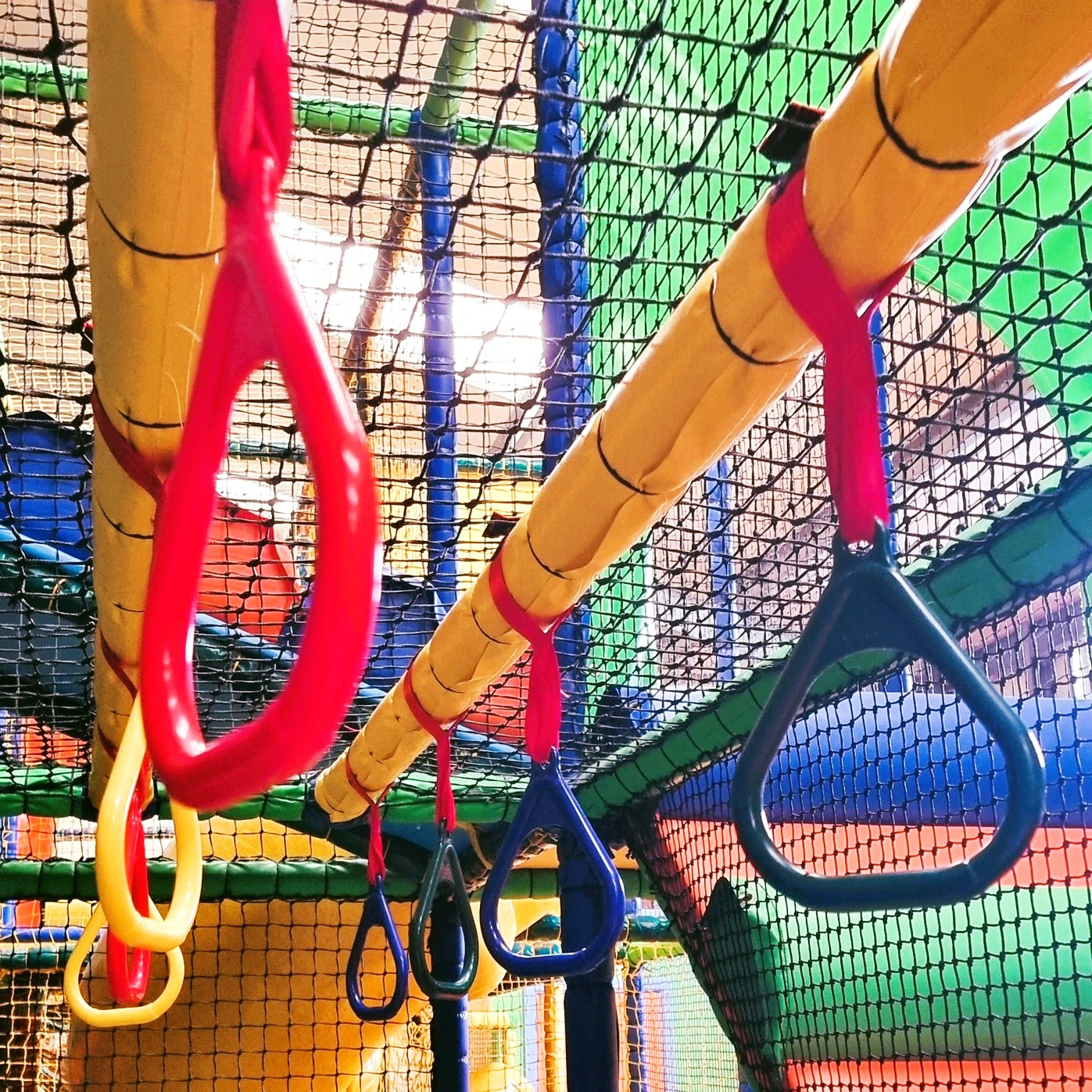 Congratulations👏 You've made it... - The Jungle At Quex Park | Facebook
