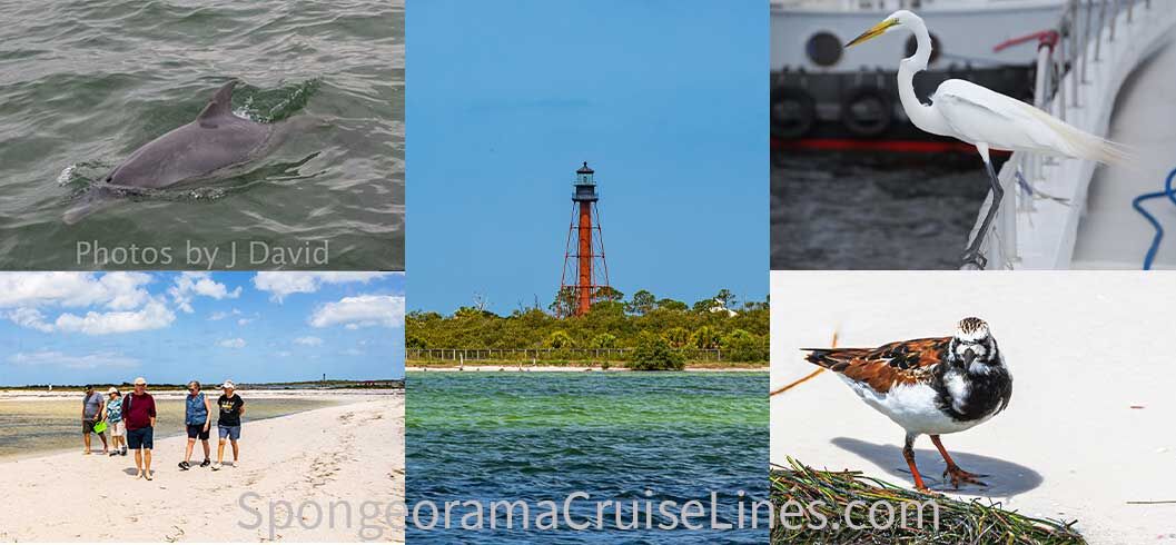 Spongeorama Cruise | Tarpon Springs FL