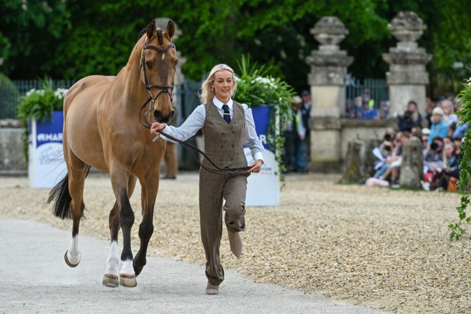 dresses for horses Check out our favourite outfits from the first Badminton Horse Trials trot-up – from floaty to bright jackets, uniforms and traditional national dress Winter Size:3 years wear_On Vacation 30 Plus Size Sequin It allows you to