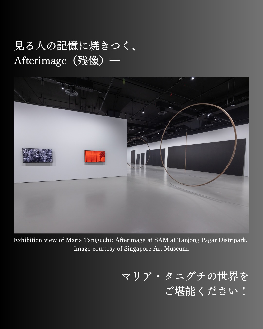 東南アジア初！大規模個展】杉本博司 Form Is Emptiness シンガポール