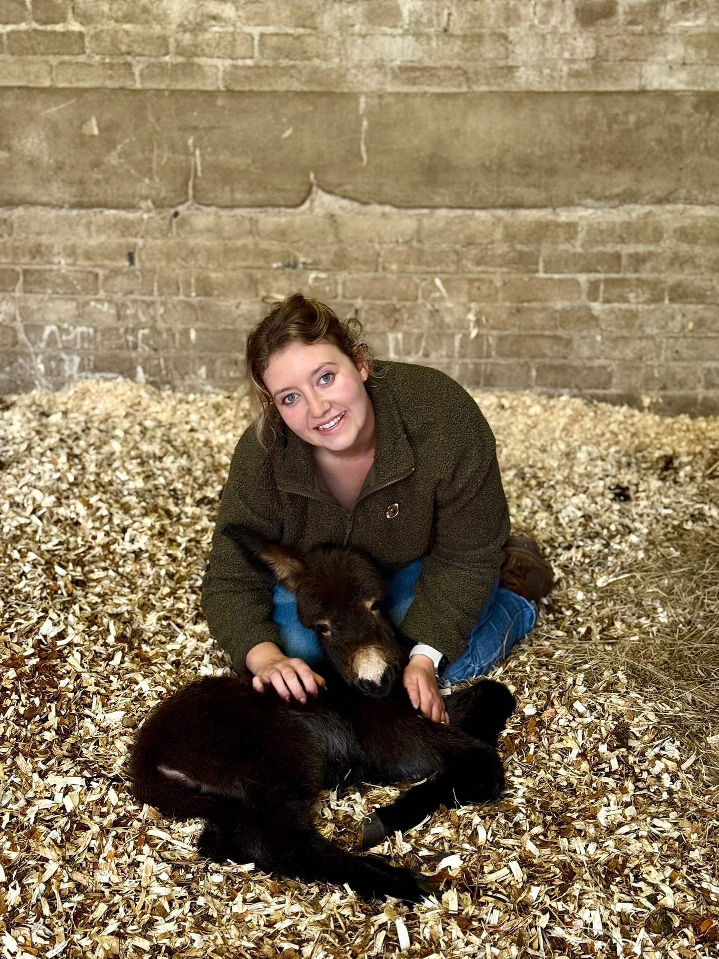 MEET OUR TINY NEW BORN FOAL 🥰🙌... - Greenlands Farm Village | Facebook