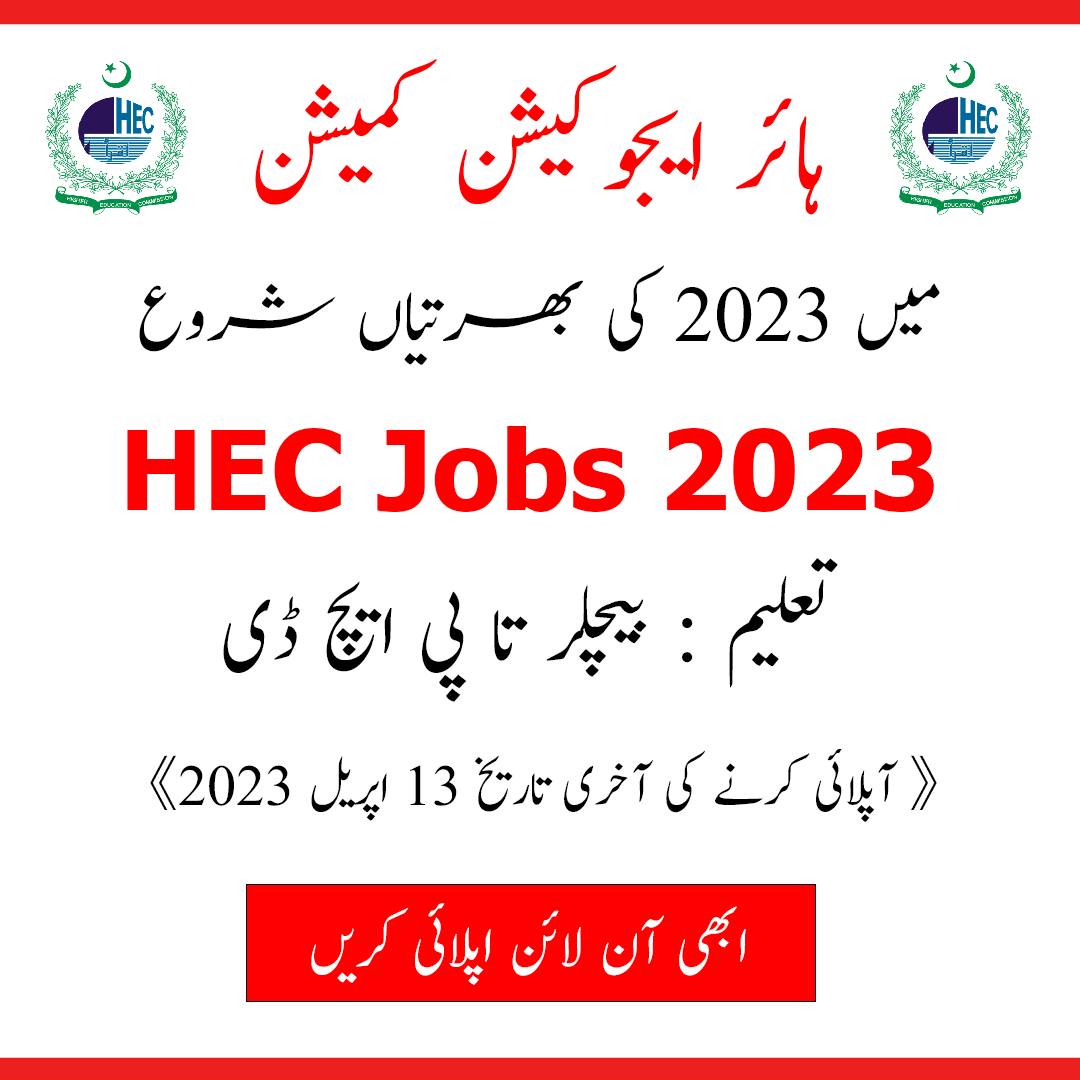 The Pakistani Jobs | Allu Multan