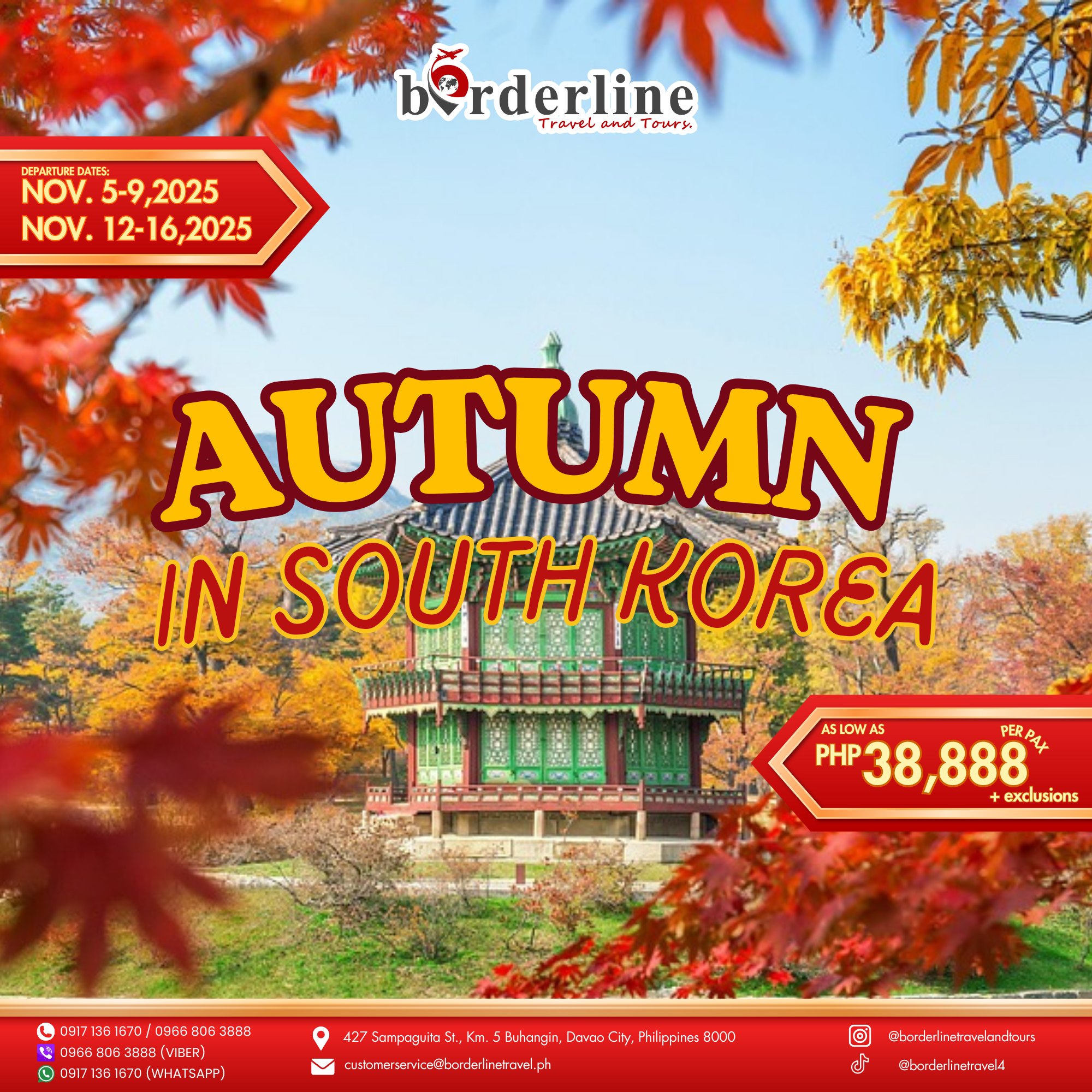 Borderline - Experience the Magic of Autumn in 𝐒𝐨𝐮𝐭𝐡 𝐊𝐨𝐫𝐞𝐚! 🇰🇷🍂 Golden ...