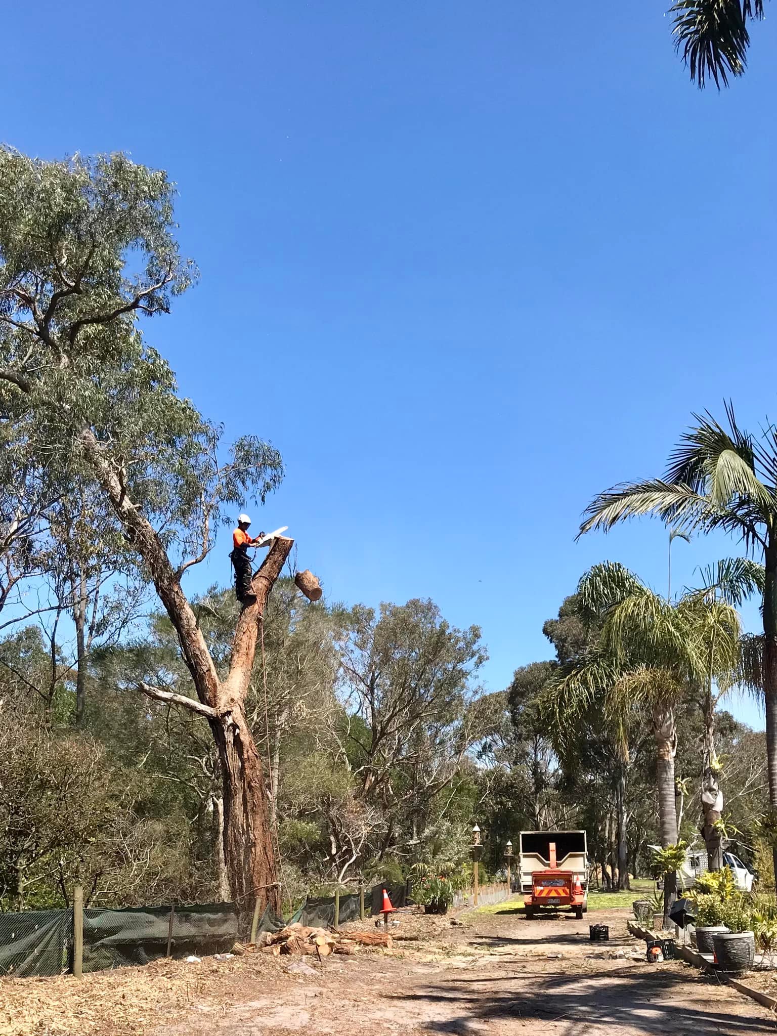 Tomcat Tree Services | Pearcedale VIC