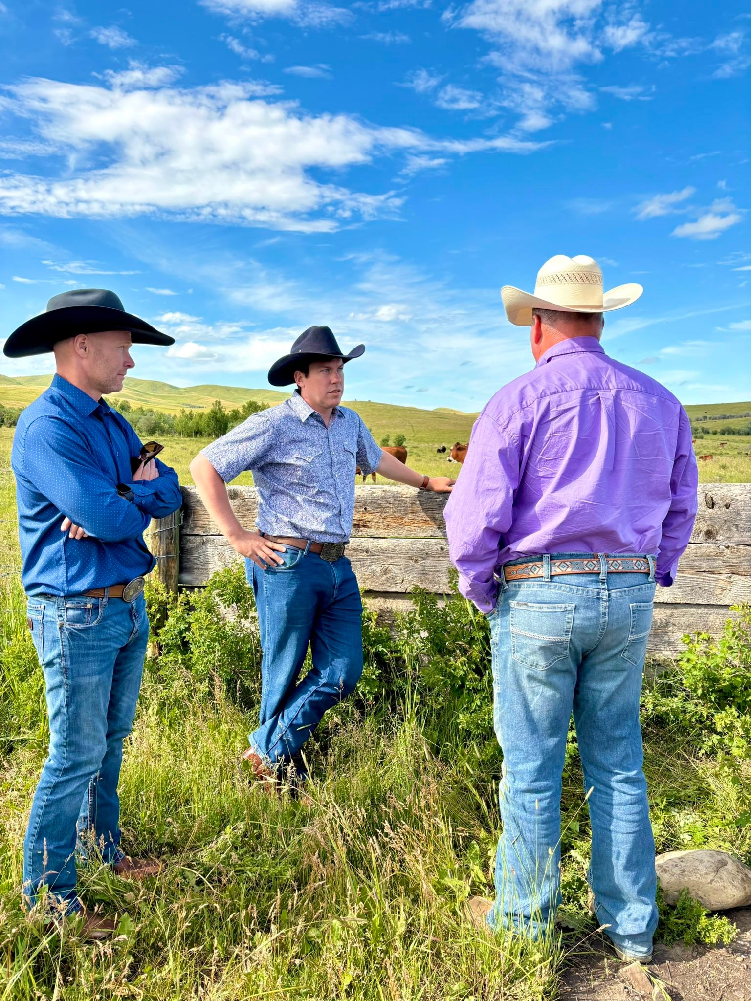 Chinook Ranch Ltd | Longview AB