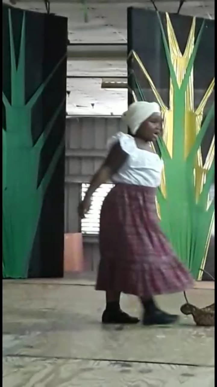 Harding Hall Preparatory School | Lucea