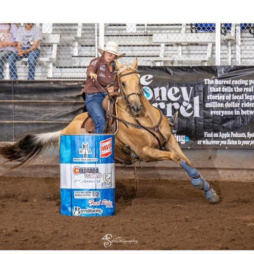 Sharp Performance Horses
