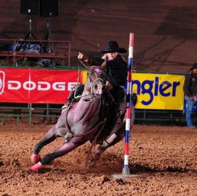 Sharp Performance Horses