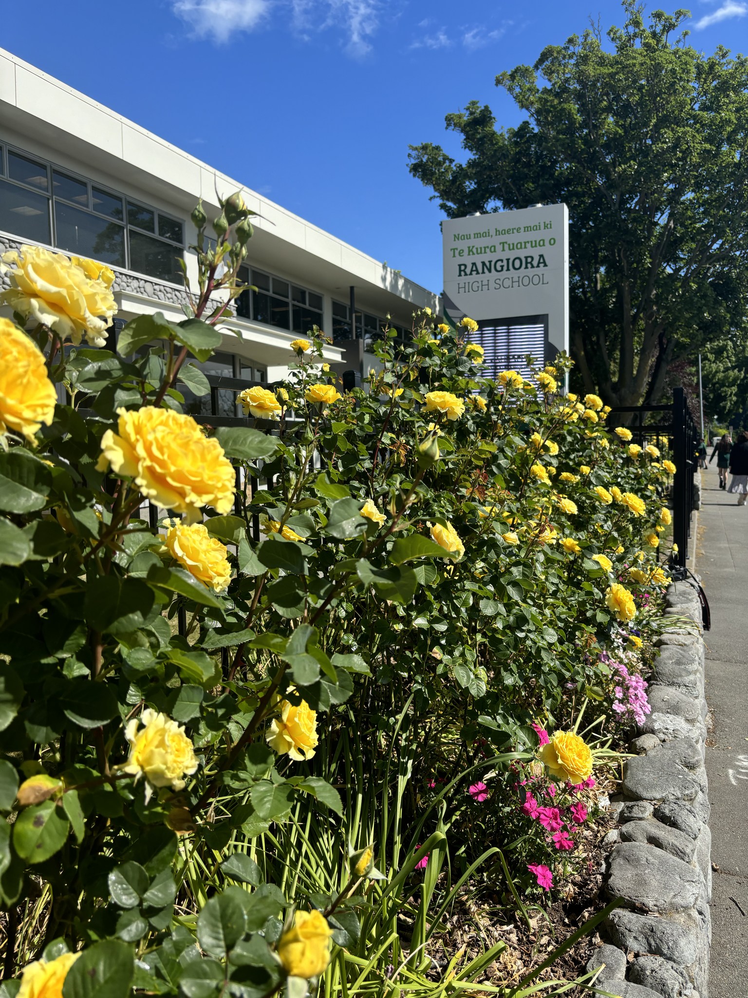 Today the sun is shining and we... - Rangiora High School