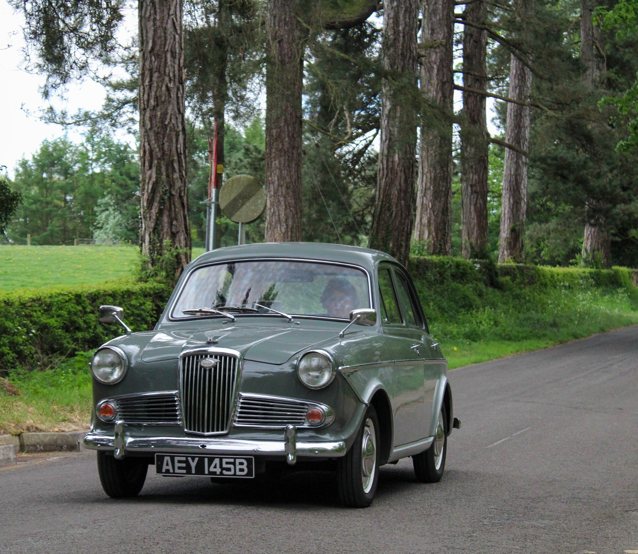 Wolseley 1500 and Riley One Point Five | This is such a lovely car to ...