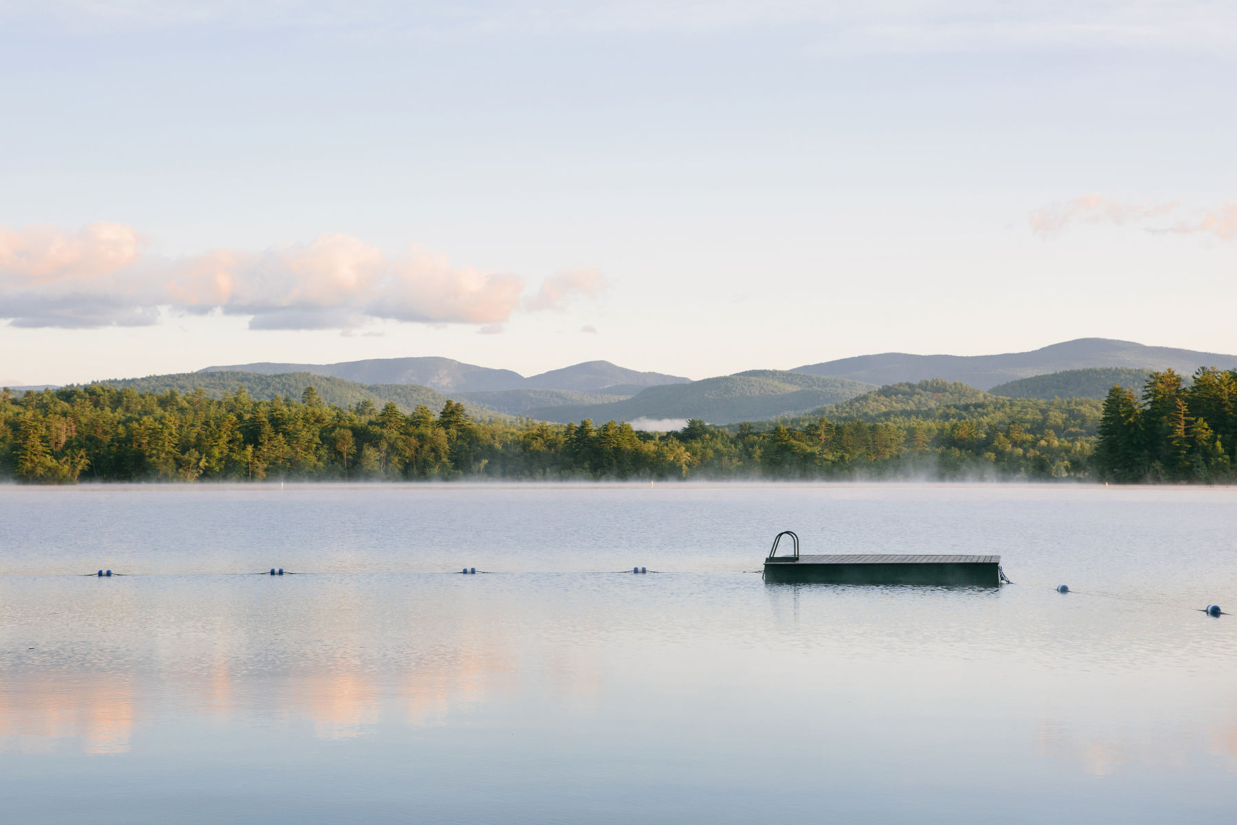 University of New England College of Osteopathic Medicine added a new ...
