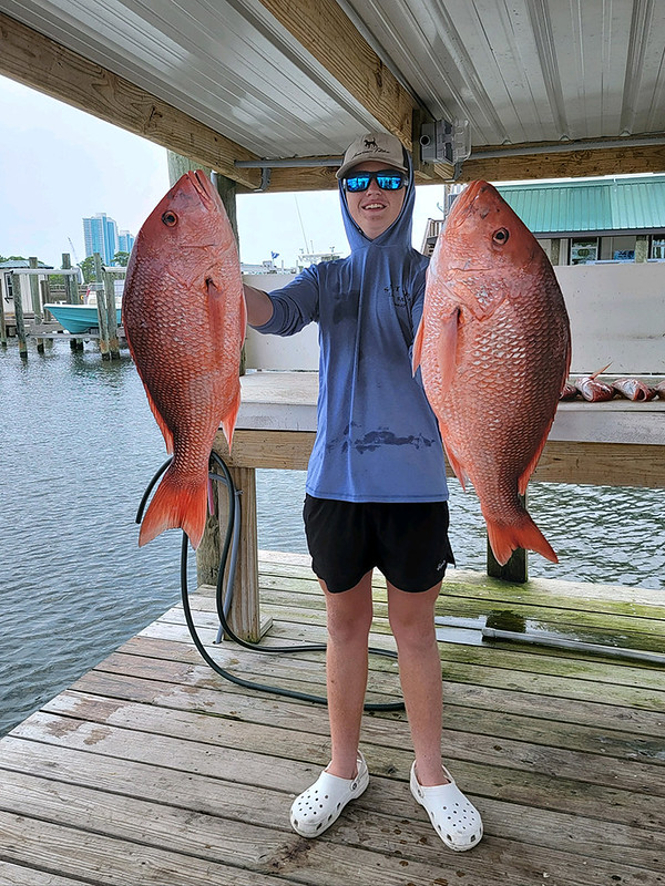 Red Snapper season is coming in... - Reel Surprise Charters | Facebook