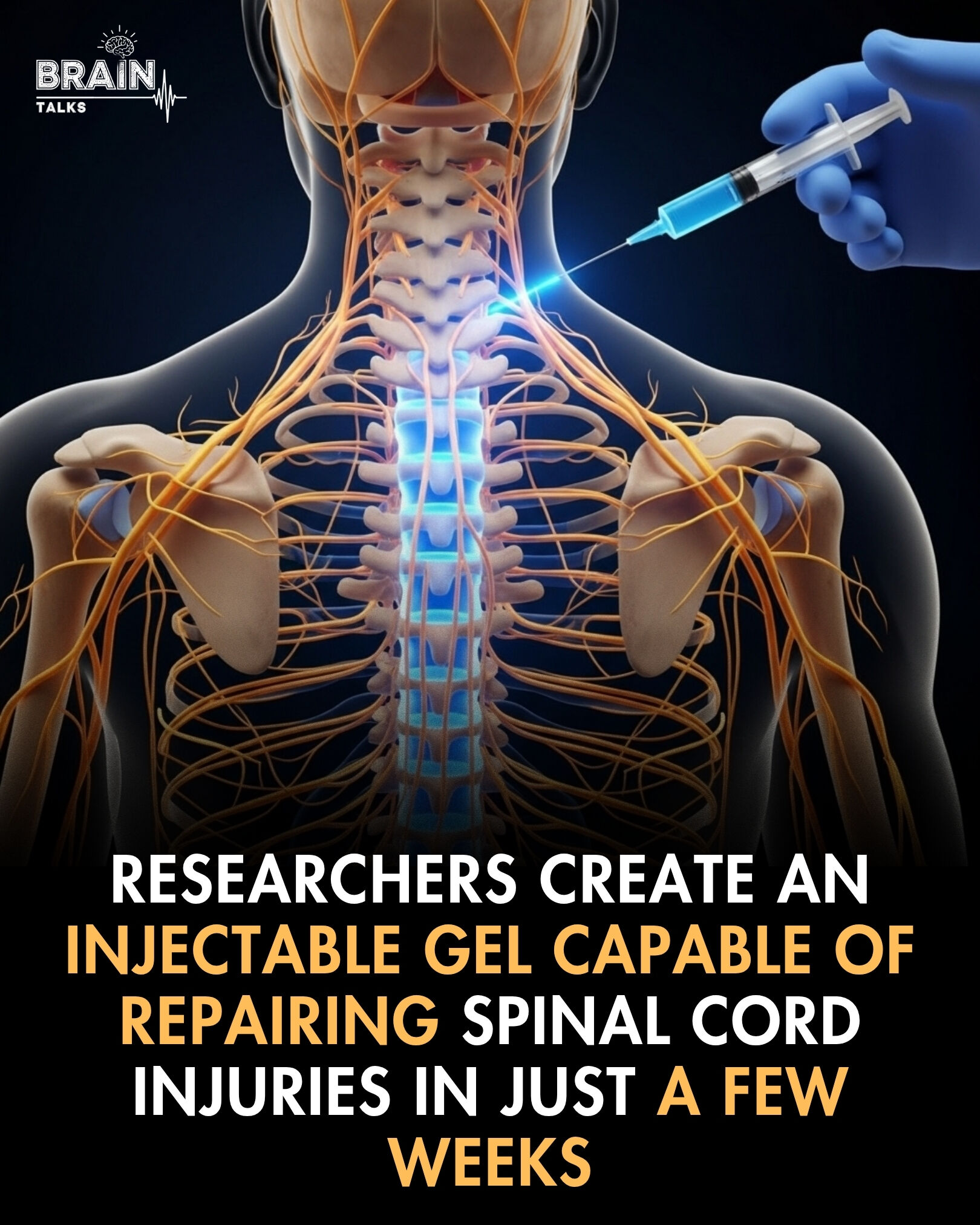 Brain - Researchers have developed an injectable gel that can heal ...
