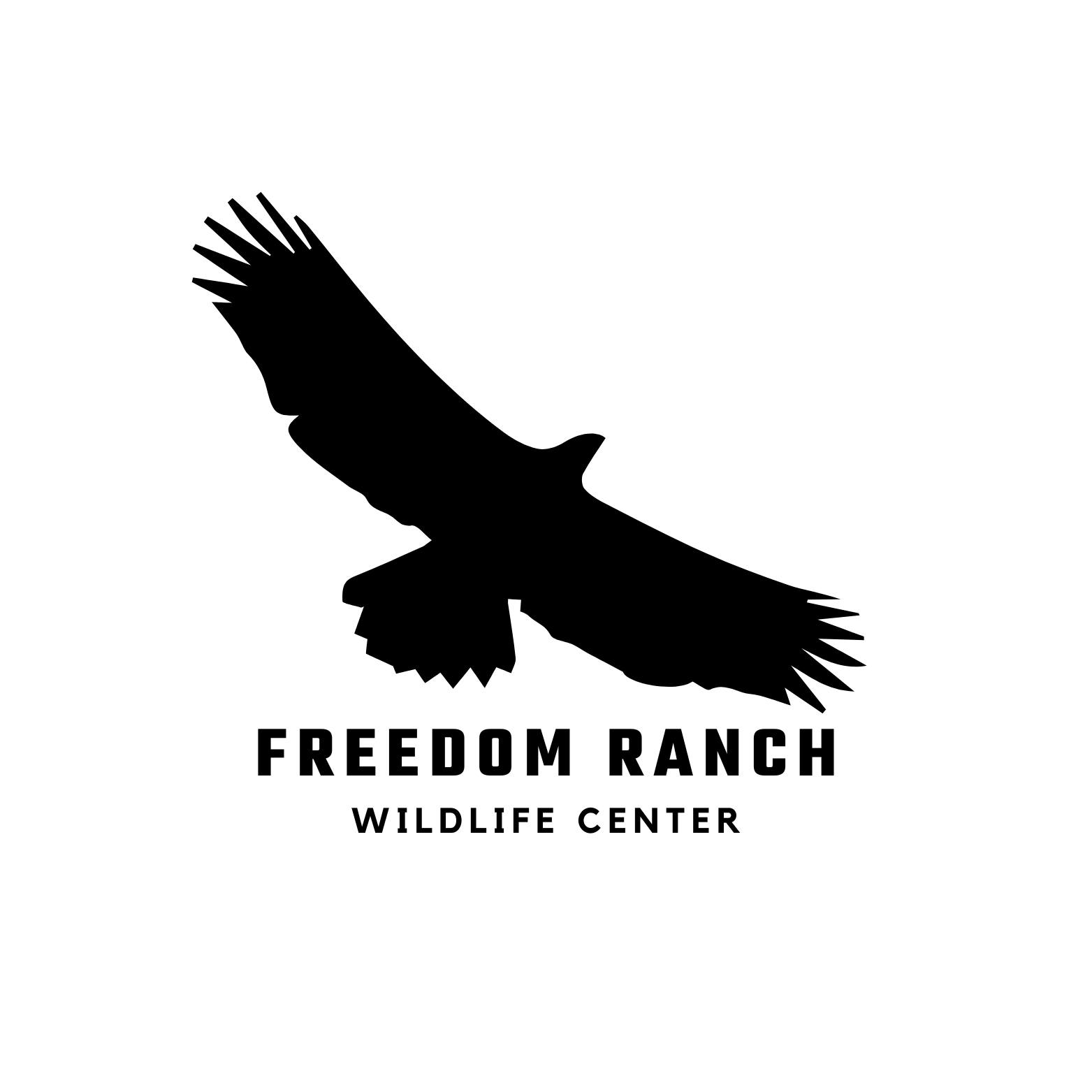 Progress with River and Marty! #sandhillcrane | Freedom Ranch Wildlife ...