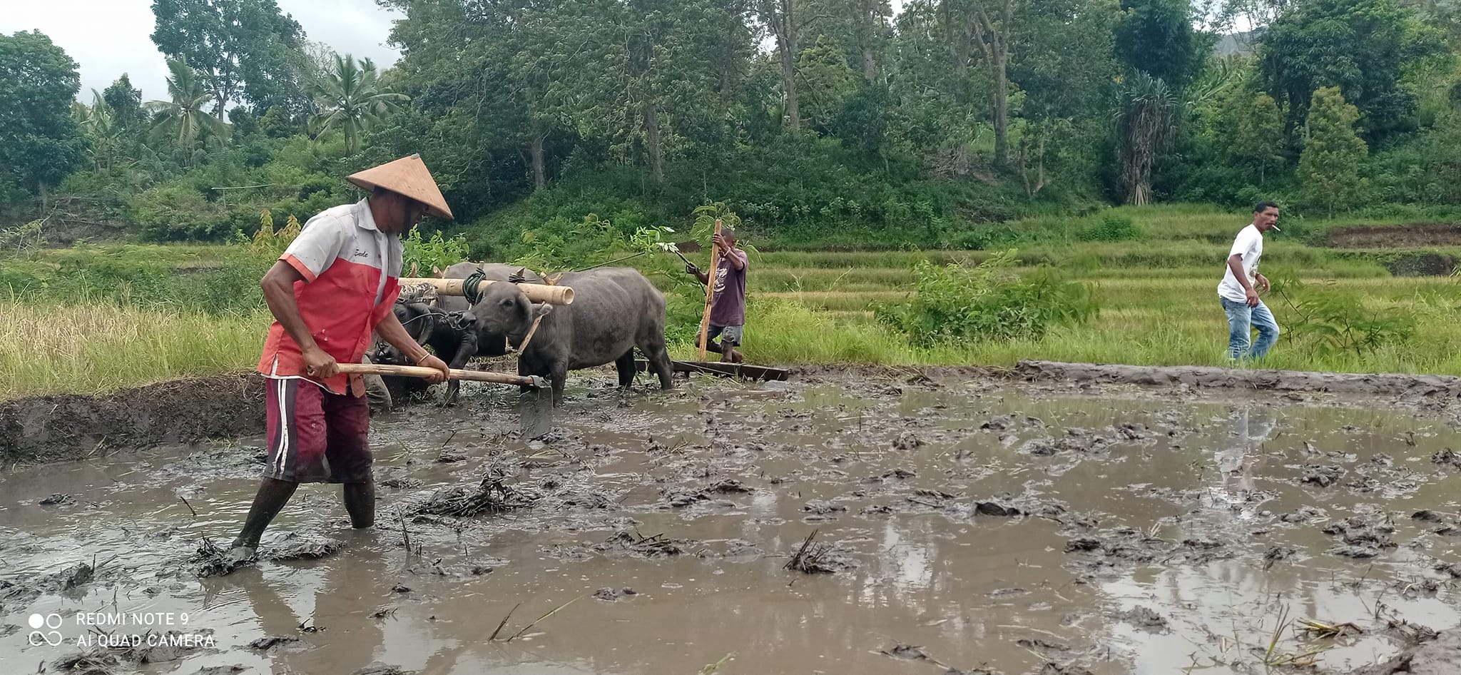 Detusoko Ecotourism