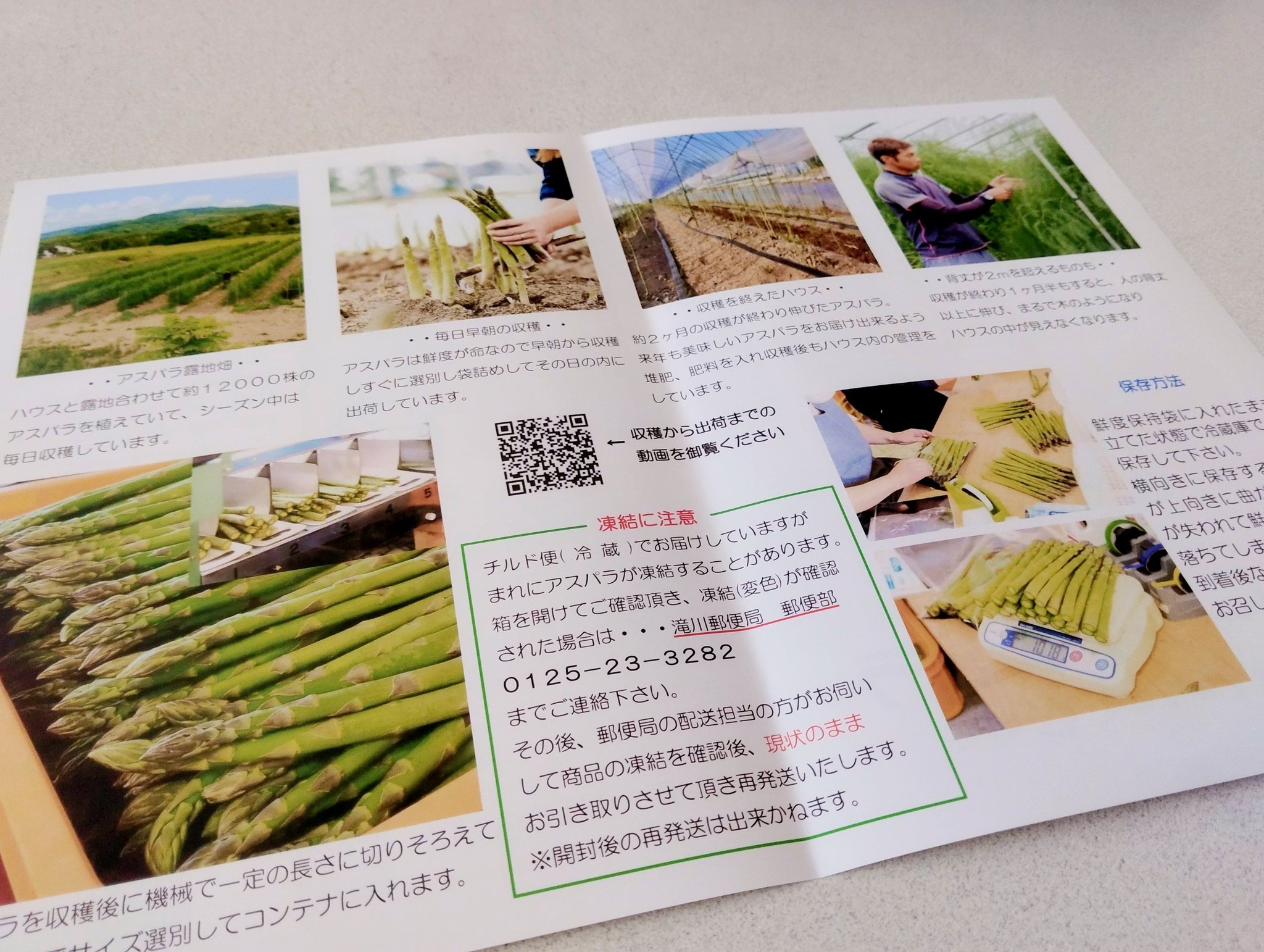 アスパラ大西様 ご確認用 （鶏の野菜類に対する採食行動と野菜類添加が 
