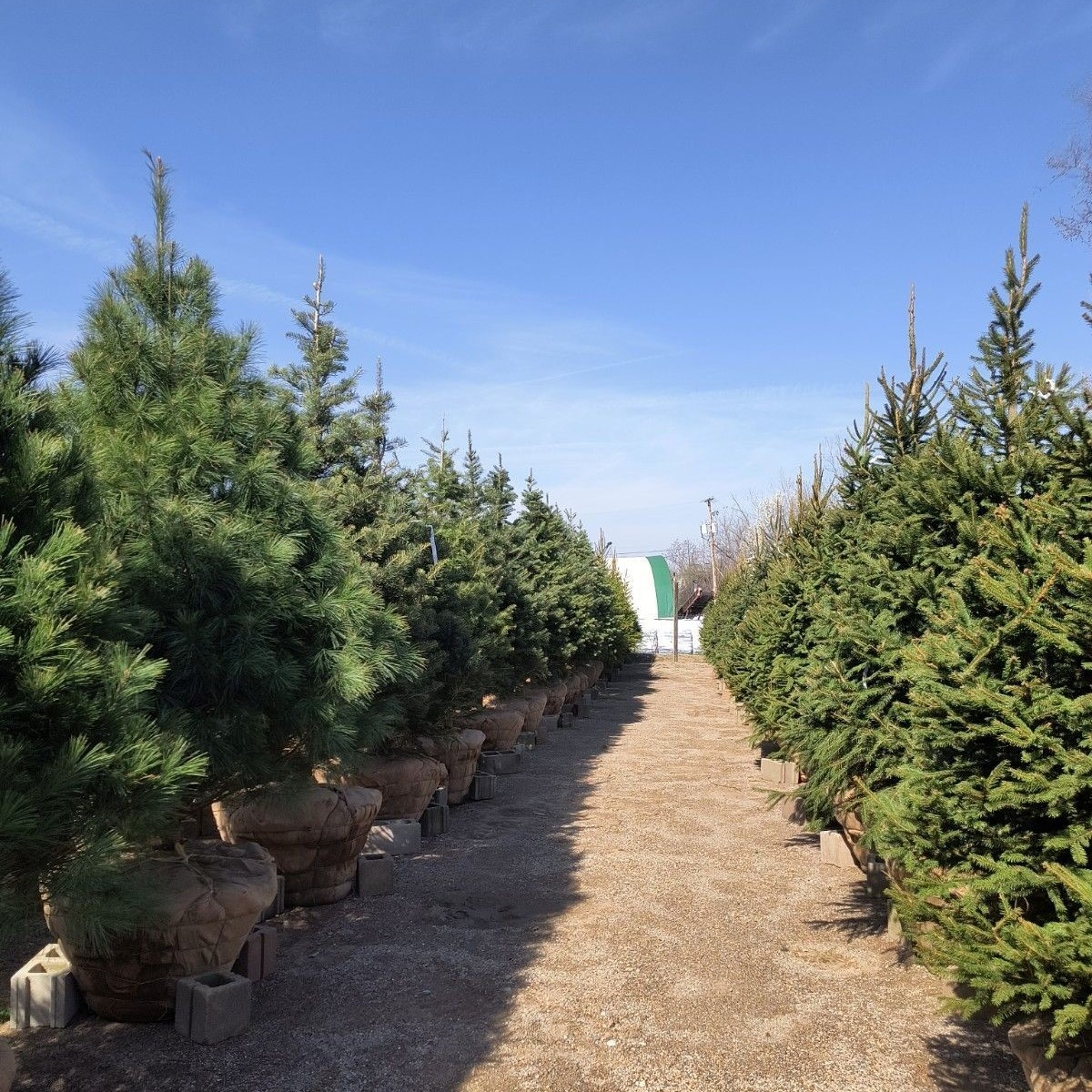 Kurtz Bros Mulch & Soils