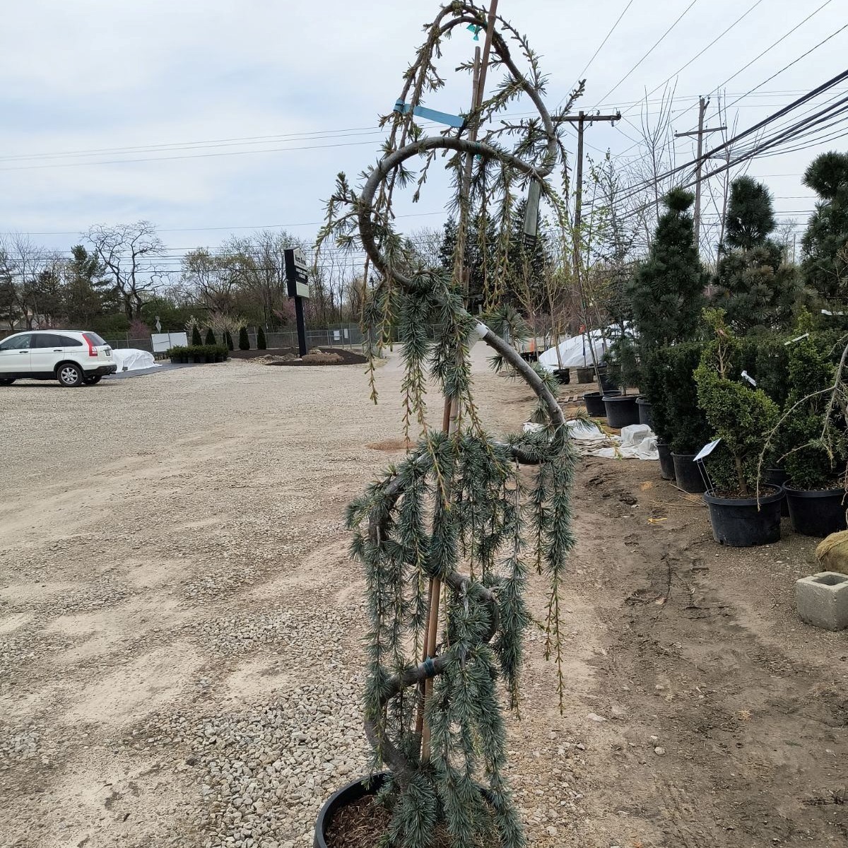 Kurtz Bros Mulch & Soils