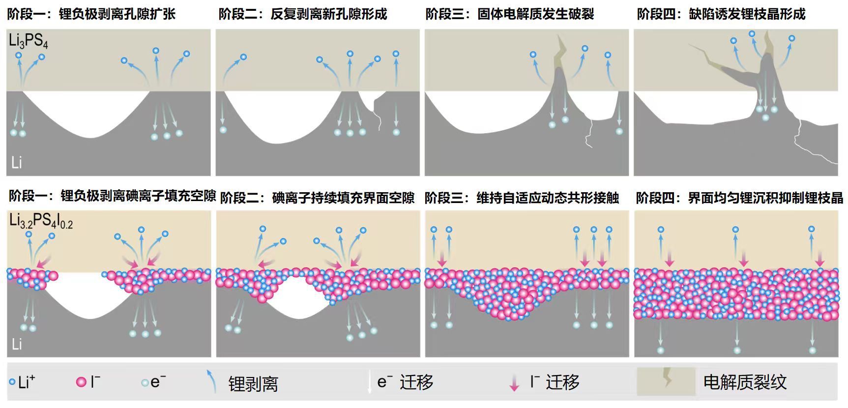 China - Chinese scientists have developed a self-adaptive interphase in ...