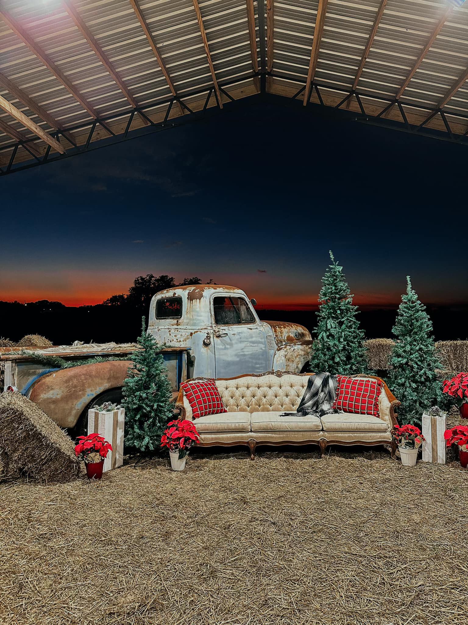 Christmas on the Farm at Dade City Farms