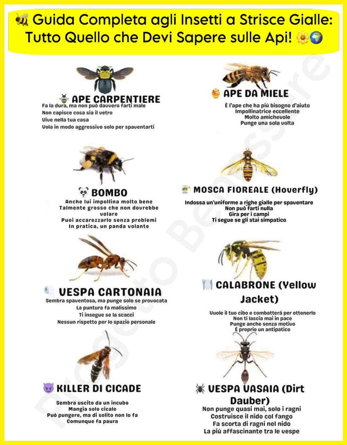 Progetto - 🐝 Amanti del giardino, lo sapevate? Le api sono eroi ...