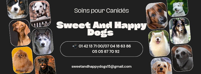 Sweet & Happy Dogs' | Abidjan Abidjan