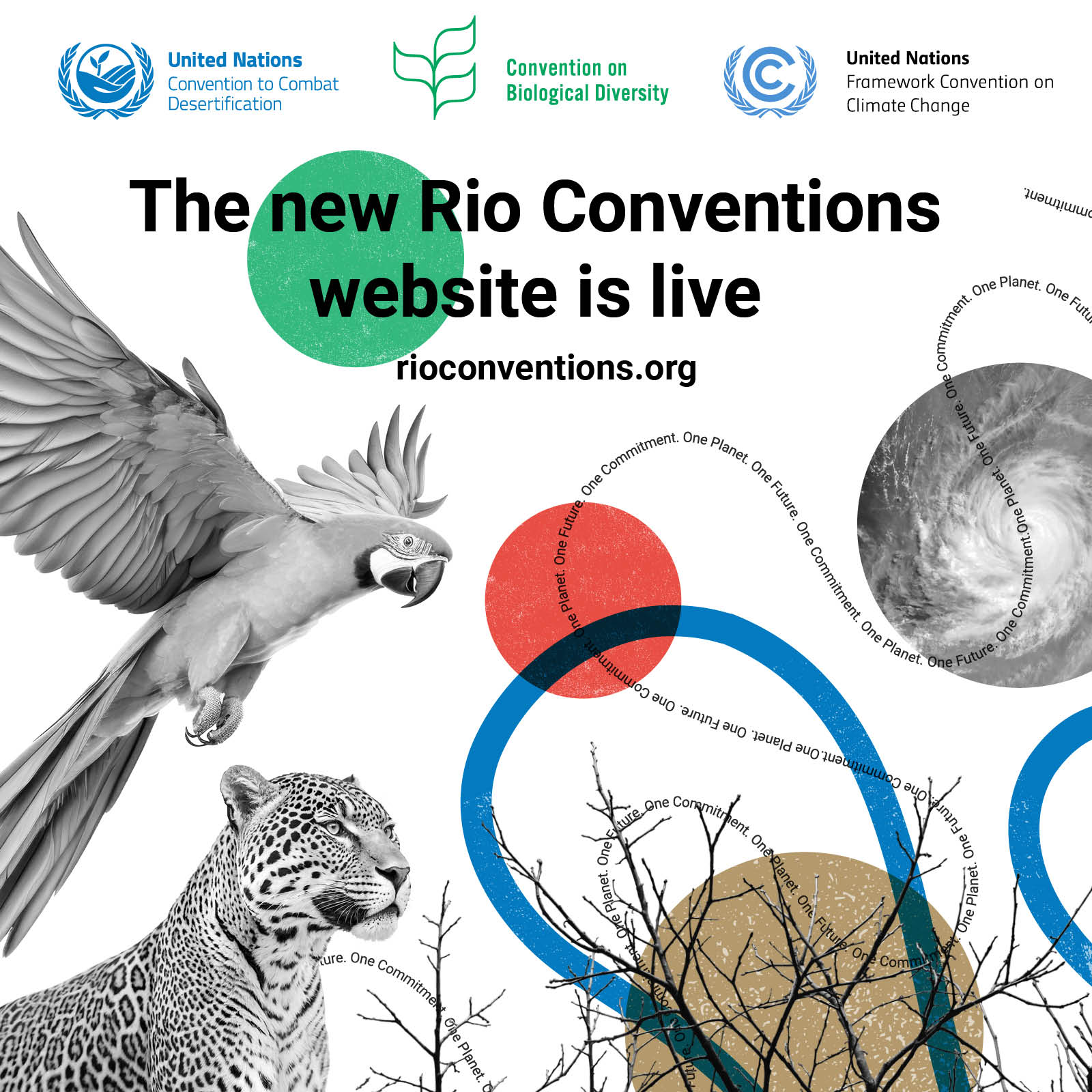 United Nations Biodiversity - 📣 Earlier this year, India’s second ...