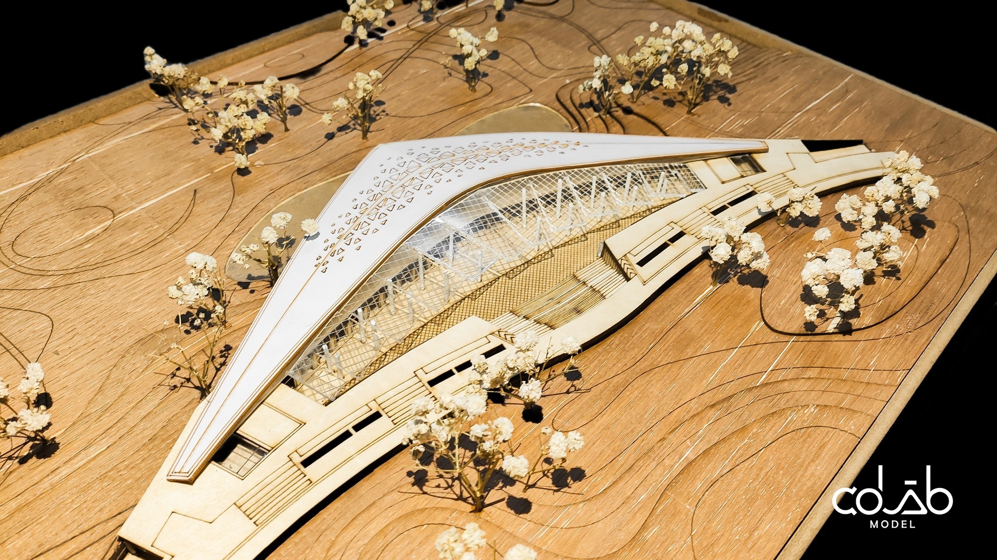 Co LAB Model